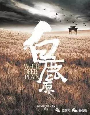 综艺、13部电视剧一线全盘点J9真人游戏第一品牌11档(图13)