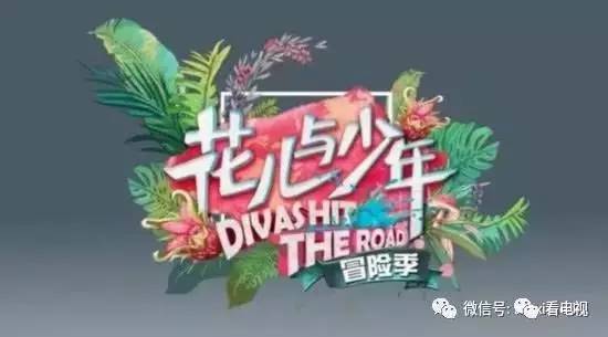 综艺、13部电视剧一线全盘点J9真人游戏第一品牌11档(图19)